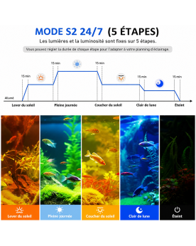 Mode 24h Rampe Led automatique