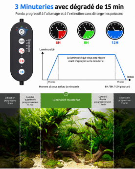 Timer 3 modes 6h 8h 12h fondu progressif 15 minutes rampe LED Segoura aquarium