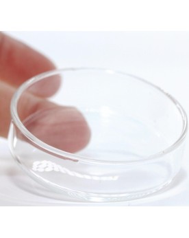 Coupelle verre 60 mm pour nourrissage crevettes