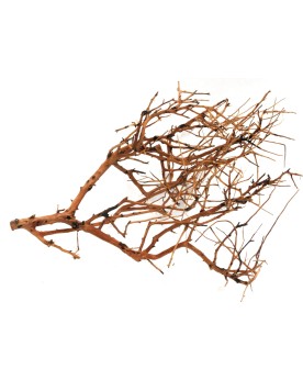 Branches marron et creme pour decoration paysagere
