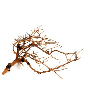 Branches marron et creme pour decoration paysagere
