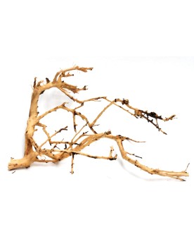 Branches decoratives marron et creme