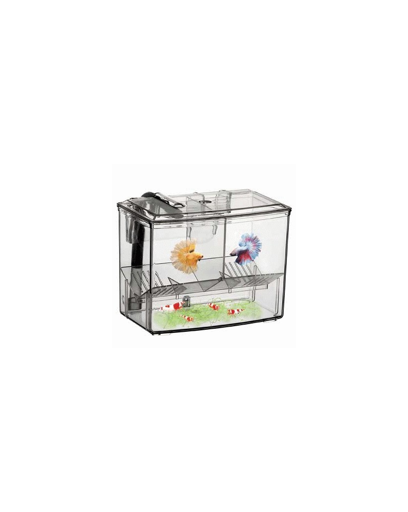 Boite elevage 1.25 L