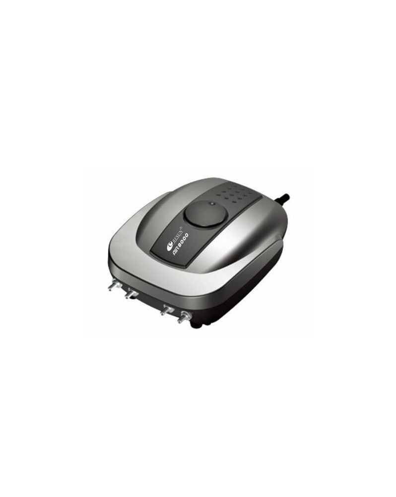 Pompe a air 540 L/H 4 sorties avec tuyaux et diffuseurs