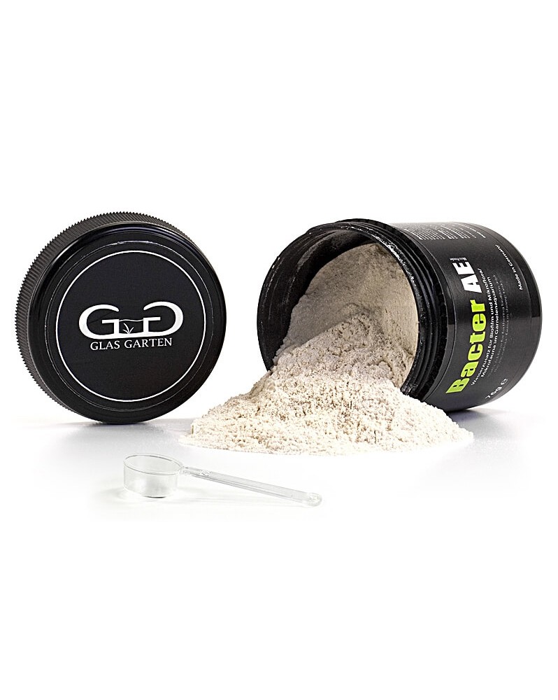 Bacter AE Micro Powder pour developpement du biofilm
