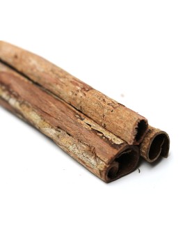 Tubes ecorces de catappa pour aquarium