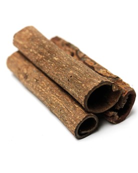Tubes d ecorce de catappa pour aquarium