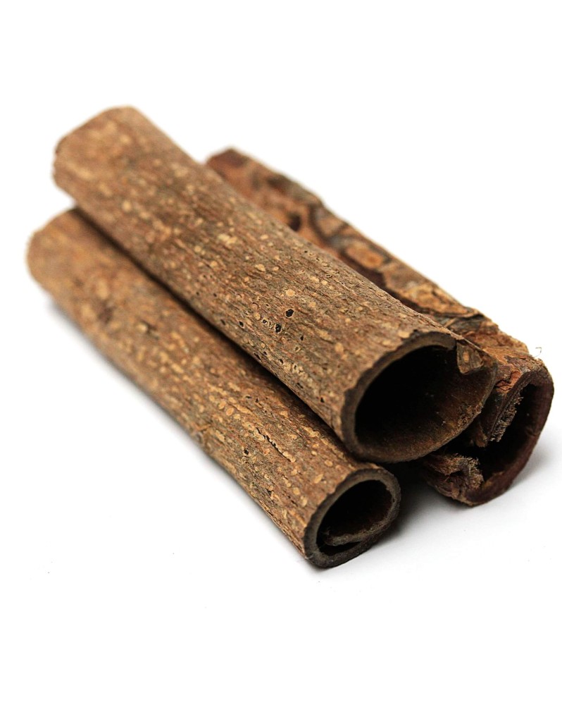 Tubes d ecorce de catappa pour aquarium
