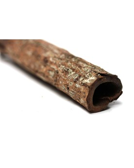 Tubes ecorces de catappa pour aquarium
