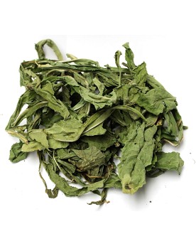 Pissenlits Séchés 10g