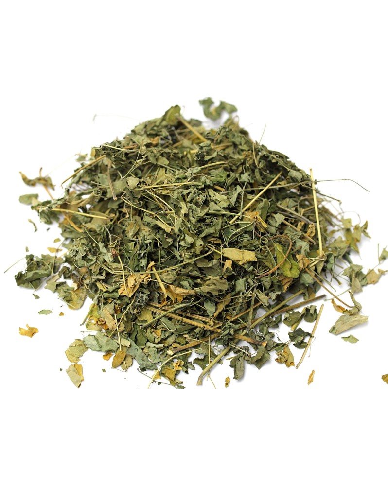 Feuilles de Moringa Oleifera pour crevettes quantite photo