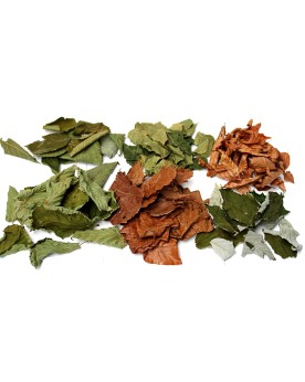Image mix 6 feuilles 60 unites