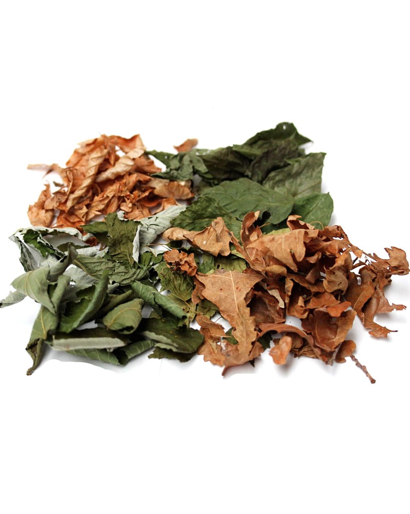 Mix 6 Feuilles D Arbres Nano - assortiment 70 feuilles