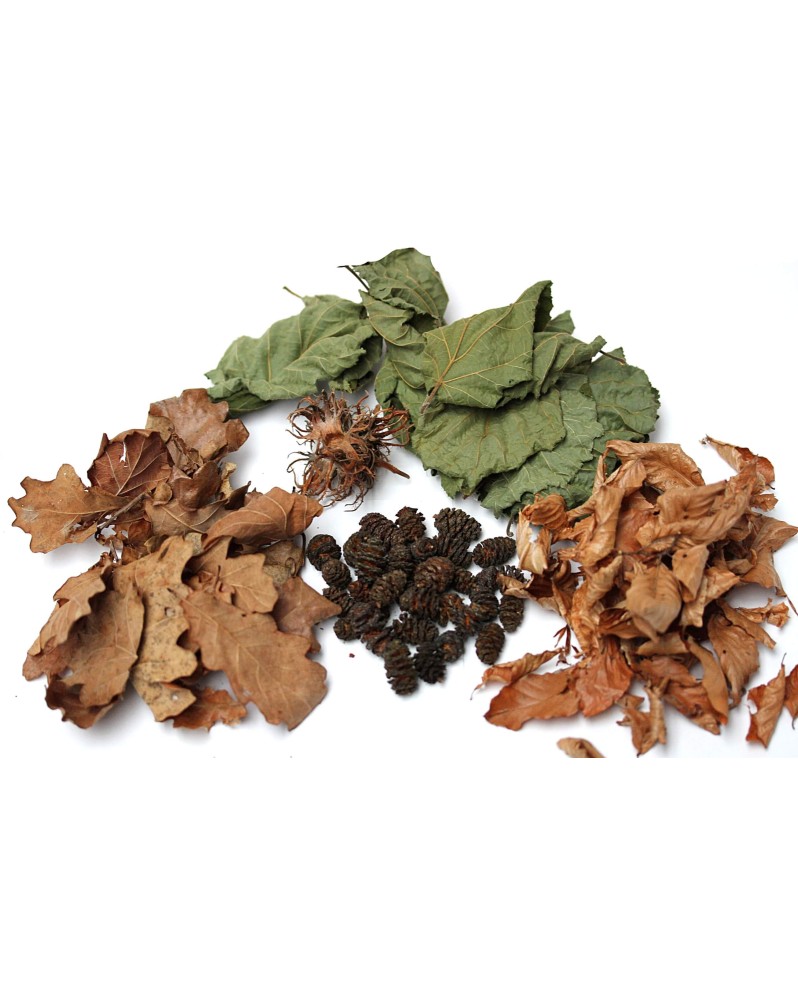 Mix 5 produits naturels - fruits et feuilles