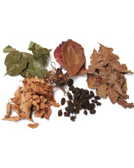 Mix 5 produits naturels - feuilles et fruits