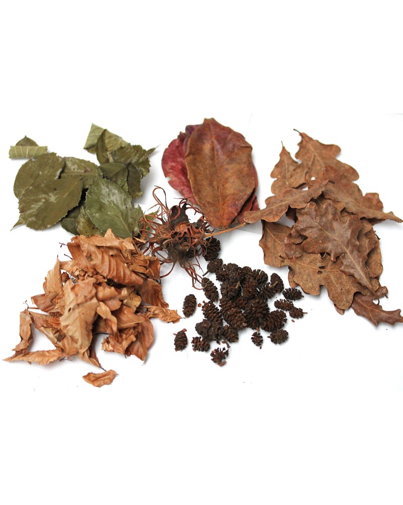 Mix 5 produits naturels - feuilles et fruits