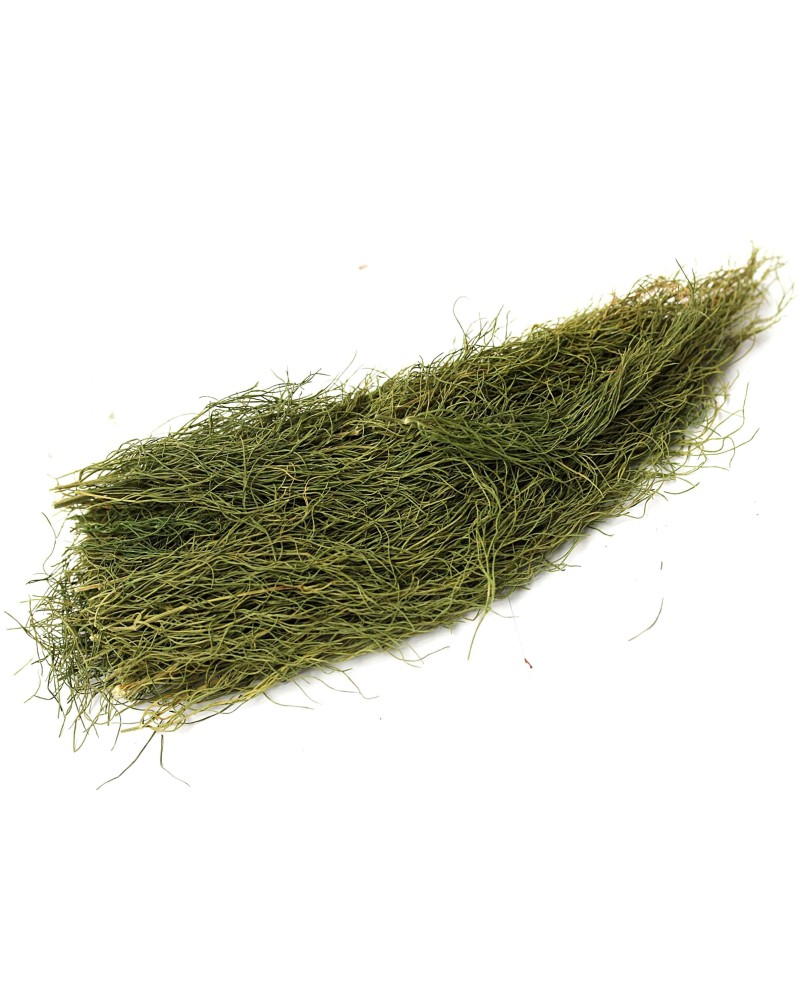 Fenouil bio seche - quantite visible sur la photo