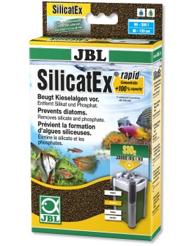 Depots brunatres d algues diatomees sur plantes et decors