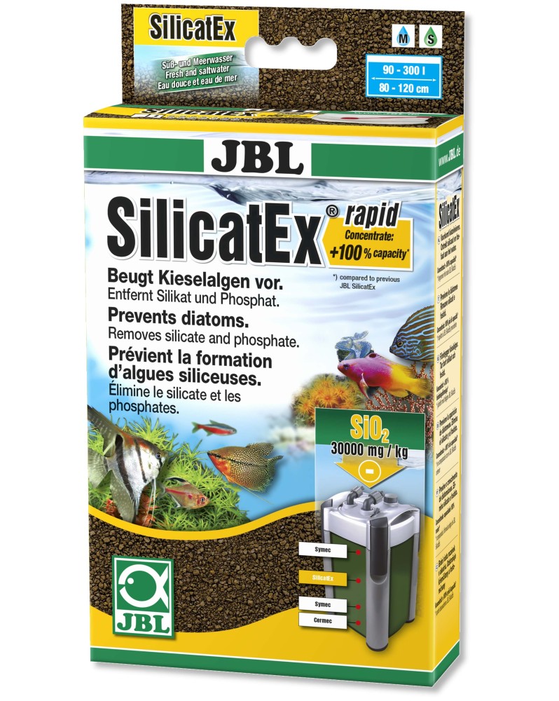 Depots brunatres d algues diatomees sur plantes et decors