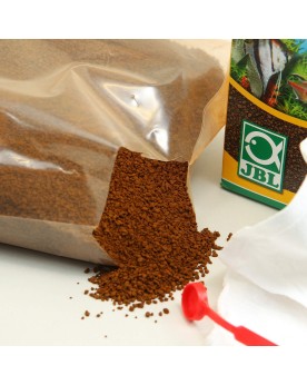 Depots brunatres d algues diatomees sur plantes et decors