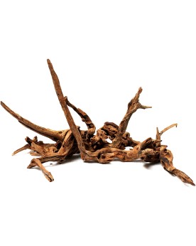 Racine River Wood pour Nano et Pico fixation mousse