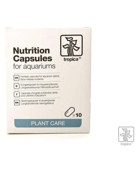 Capsules engrais placees pres des racines