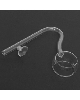 Lily Pipe pour aquarium en aquascaping
