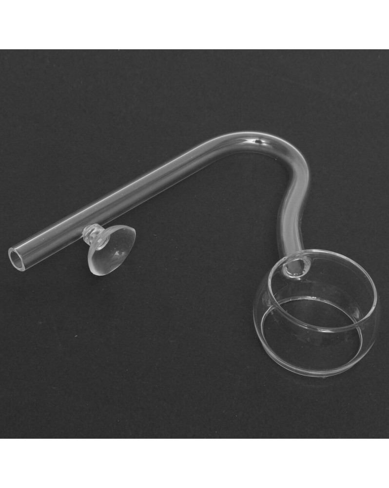 Lily Pipe pour aquarium en aquascaping