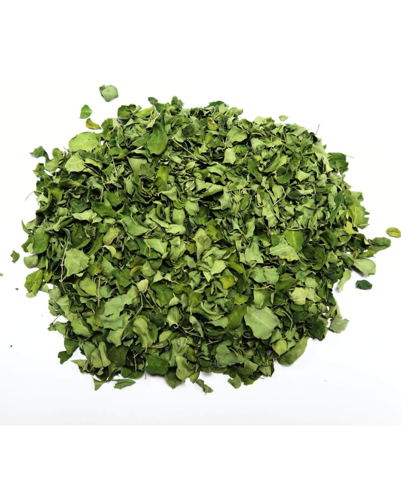 Feuilles de Moringa Oleifera pour crevettes