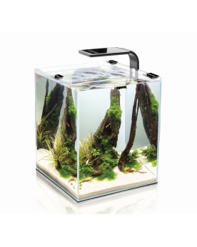 Aquarium Aquael adapte pour maintenance de crevettes