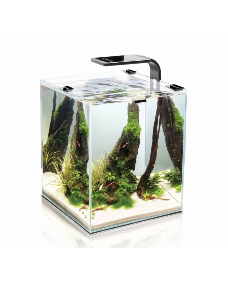 Aquarium Aquael adapte pour maintenance de crevettes