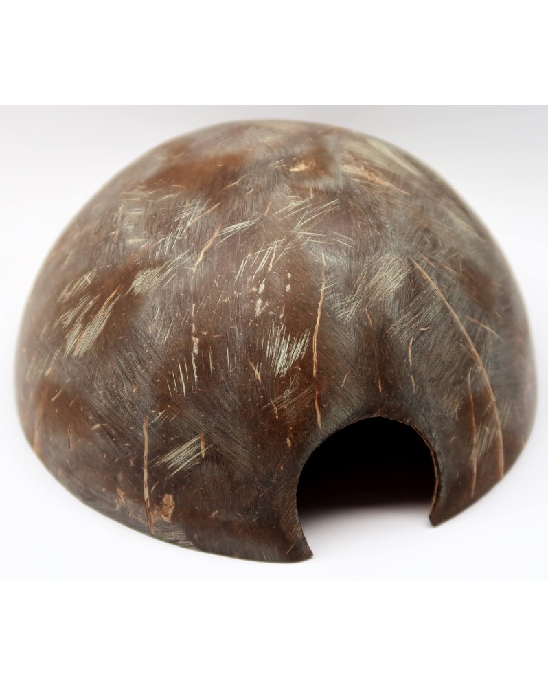 Demi noix de coco pour crevettes et poissons