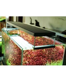 Chihiros WRGB II 10eme edition LED pour aquarium plantes