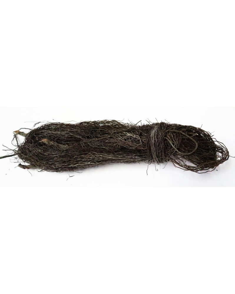 Ancient Roots racines fines pour detail hardscape
