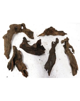 Assortiment racines Asia et River wood en destockage