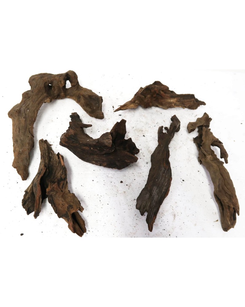 Assortiment racines Asia et River wood en destockage
