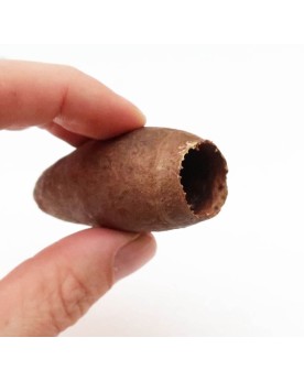 Jecetiba Cap decoration naturelle 6 a 8 cm
