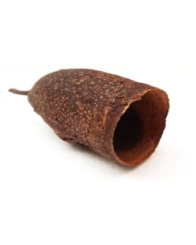 Sero Fino Cap decoration naturelle 8-12 cm