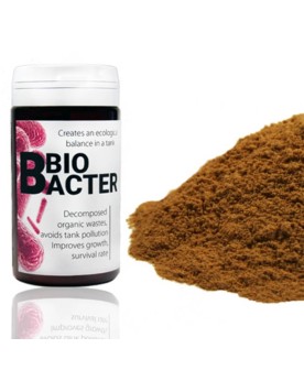 Flacon BioBacter pour aquarium, souches bacteriennes