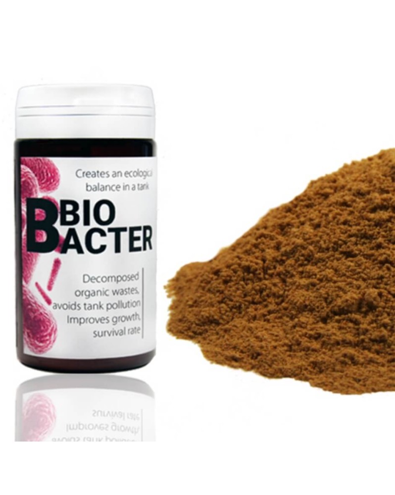 Flacon BioBacter pour aquarium, souches bacteriennes