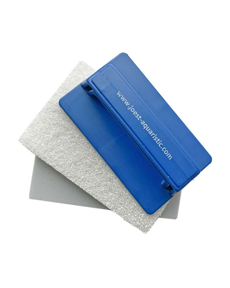Catfish Holder nettoyage vitres aquarium