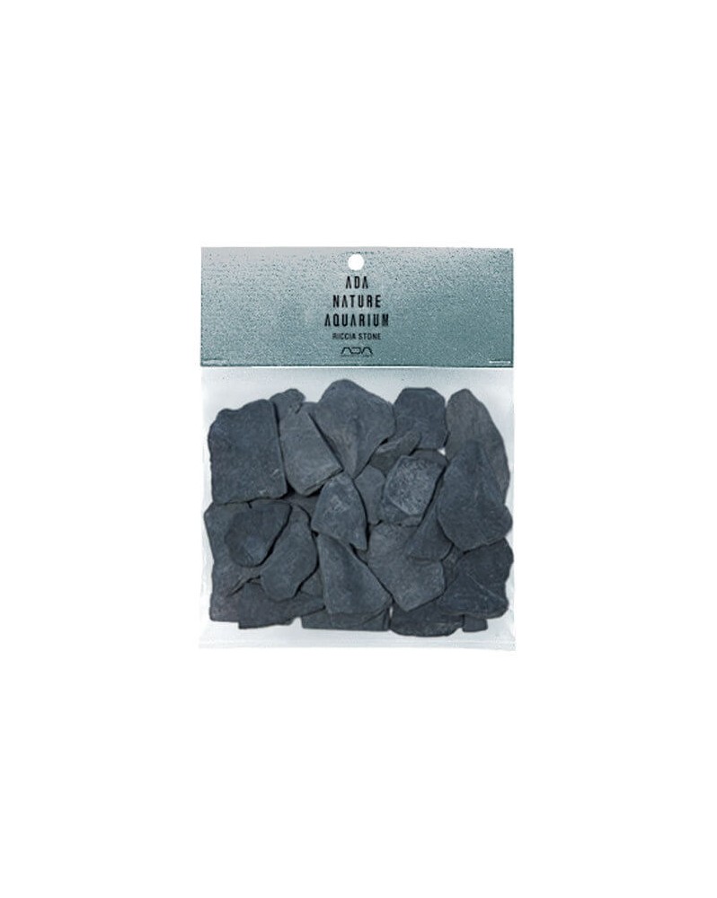 Pierres Ada Riccia pour fixer plantes et mousses