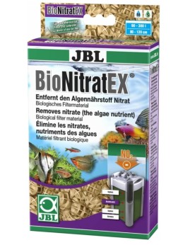 Bacteries denitrifiantes pour elimination des nitrates