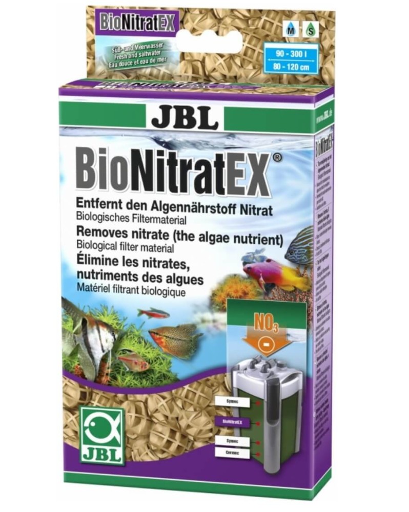 Bacteries denitrifiantes pour elimination des nitrates