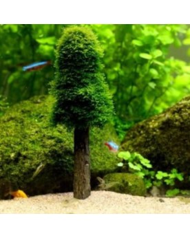 Support pour mousses en forme arbre