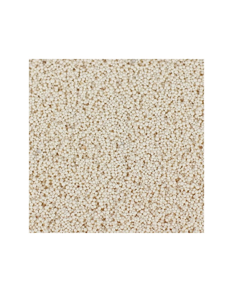 Resine filtration aquarium 1L sachet zip