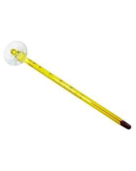 Thermometre en verre 15 cm avec ventouse