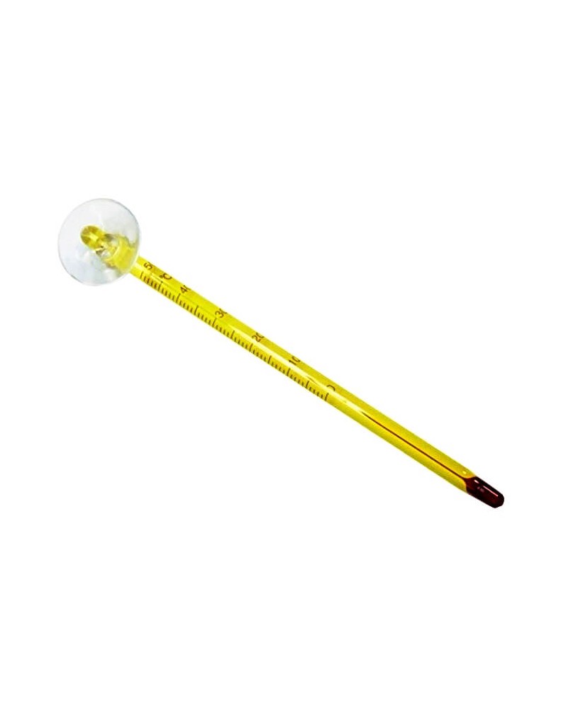 Thermometre en verre 15 cm avec ventouse