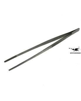 Pinces en inox pour plantation et jardinage