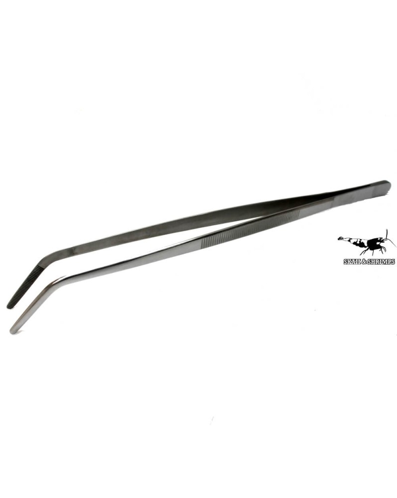 Pinces inox pour plantation